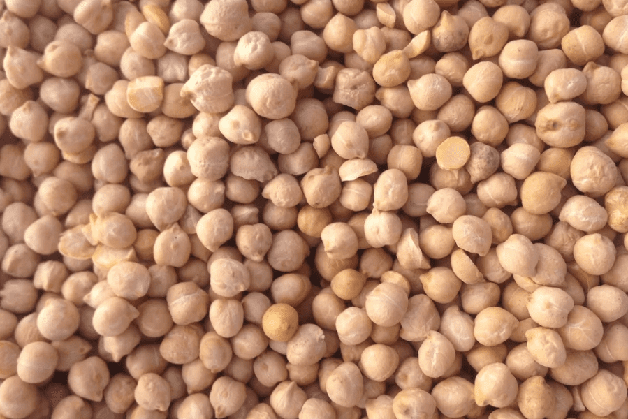 Chickpea